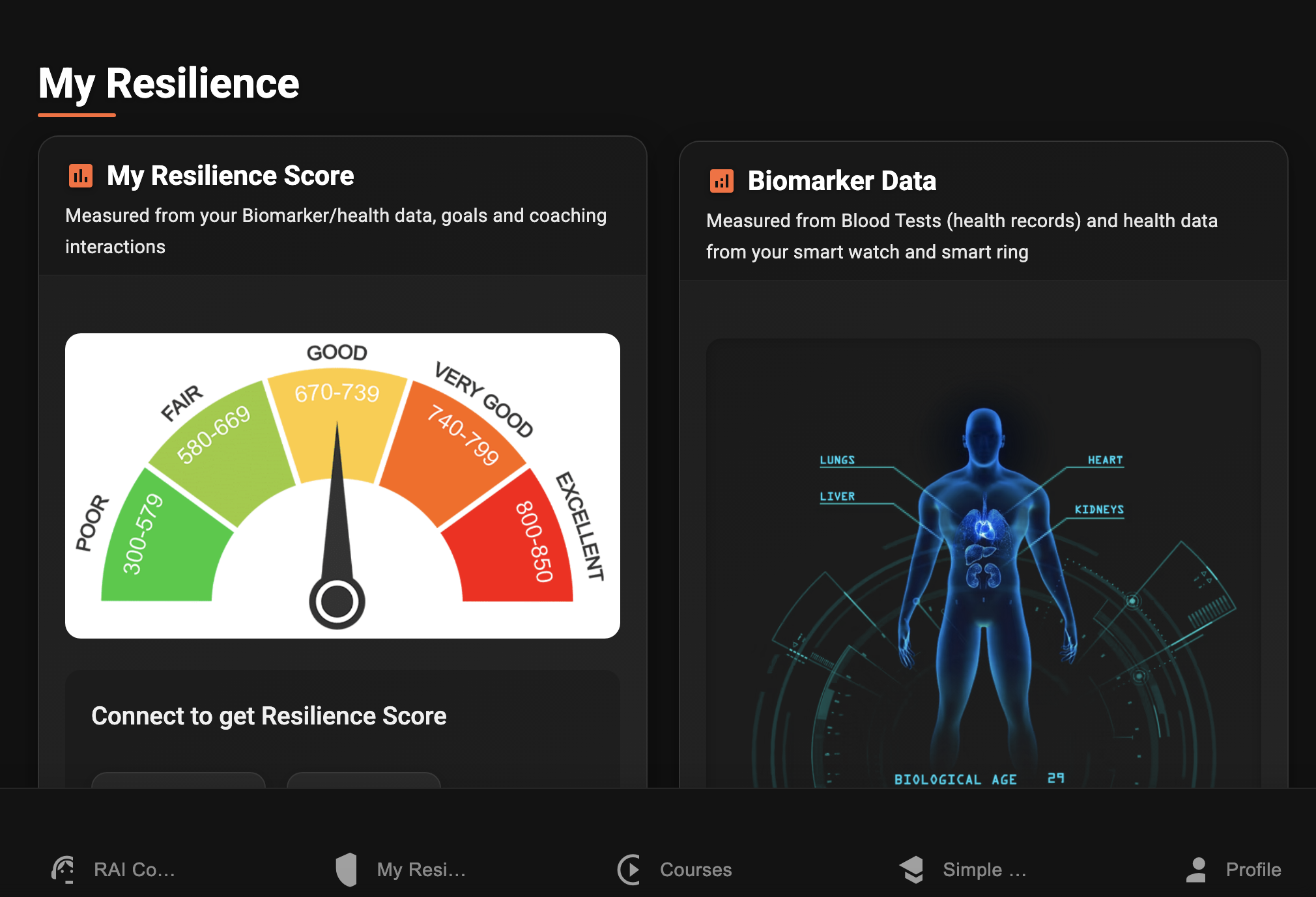 Resilience AI Project